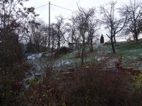 Haus Bitz: DSC00171