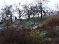 Haus Bitz: DSC00172