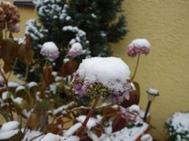 Haus Bitz: DSC00180