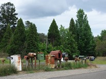 Haus Bitz: DSC03654