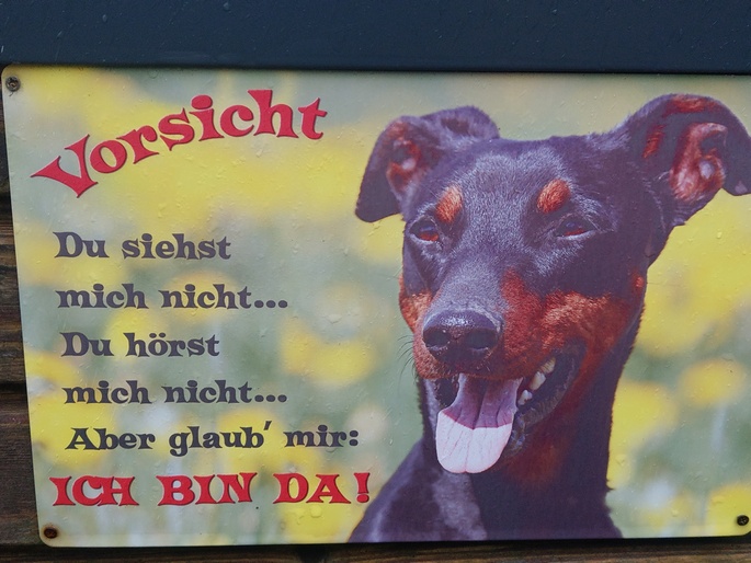 Haus Bitz: IMAG1146